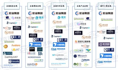 CIC灼識咨詢發布跨境行業藍皮書 辰海集團出海合規領域市場占有率遙遙領先